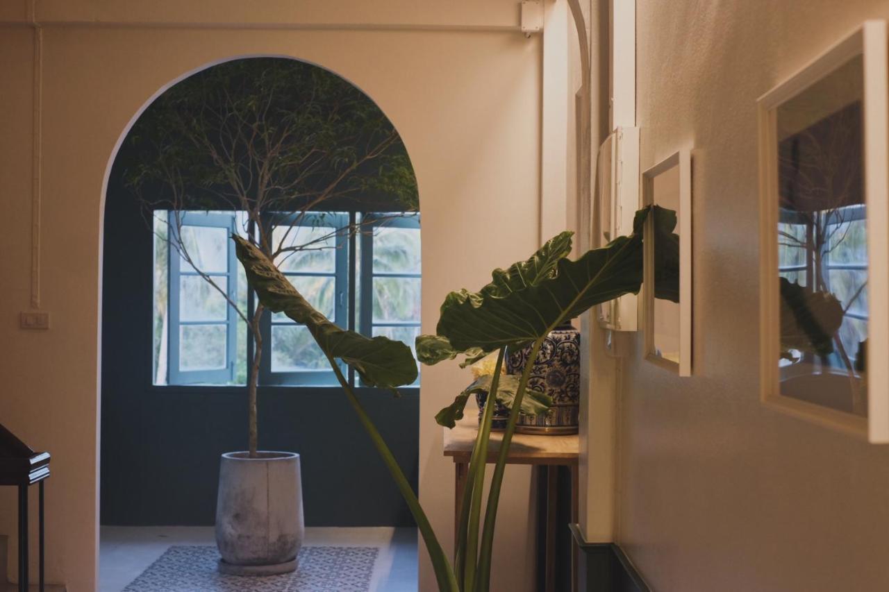 Matou Hostel & Cafe Trang Exterior photo